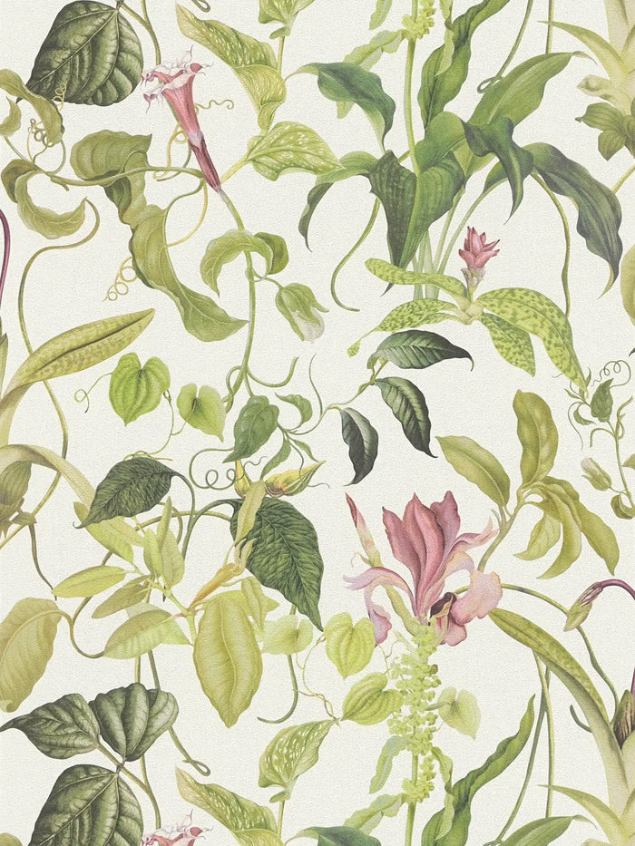Garden Wallpaper - Green/White - Last 6 Rolls