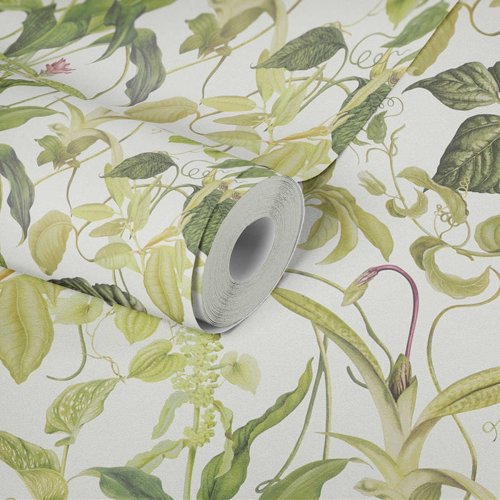 Garden Wallpaper - Green/White - Last 6 Rolls