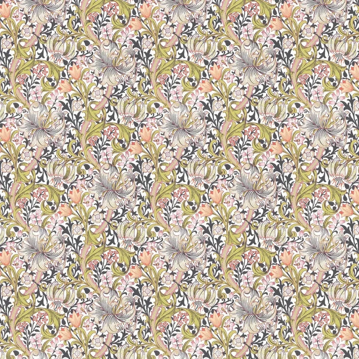 Golden Lily - Morris - Espresso