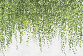 Hanging Garden Mural Wallpaper