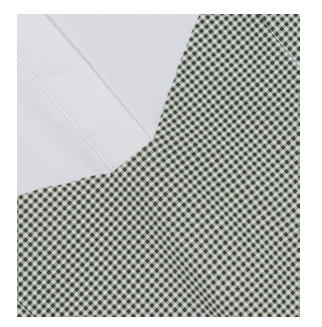 Hannah Childs Luna Gingham Long Sleeve Show Shirt