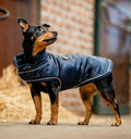 Horseware Signature Padded Dog Rug 200g