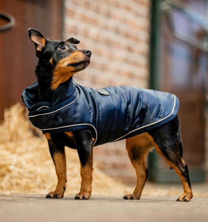 Horseware Signature Padded Dog Rug 200g