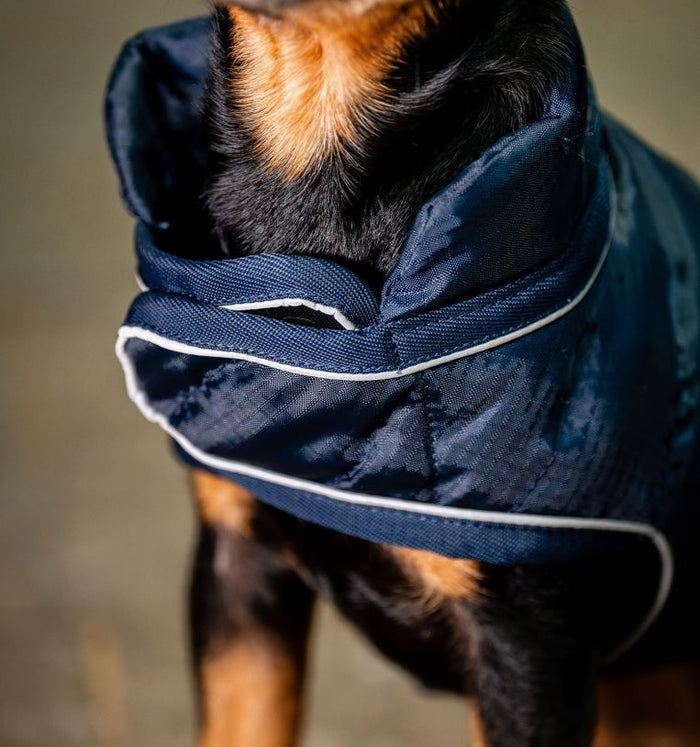 Horseware Signature Padded Dog Rug 200g