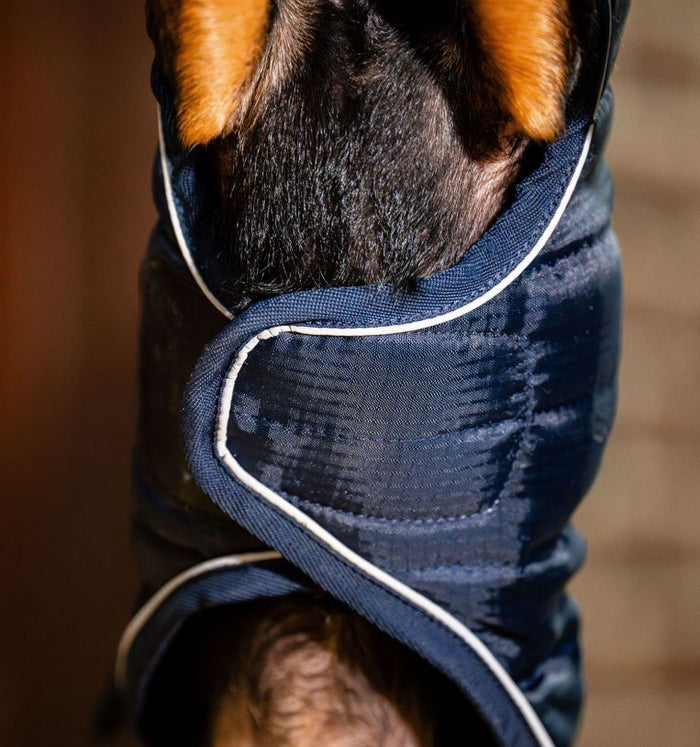 Horseware Signature Padded Dog Rug 200g