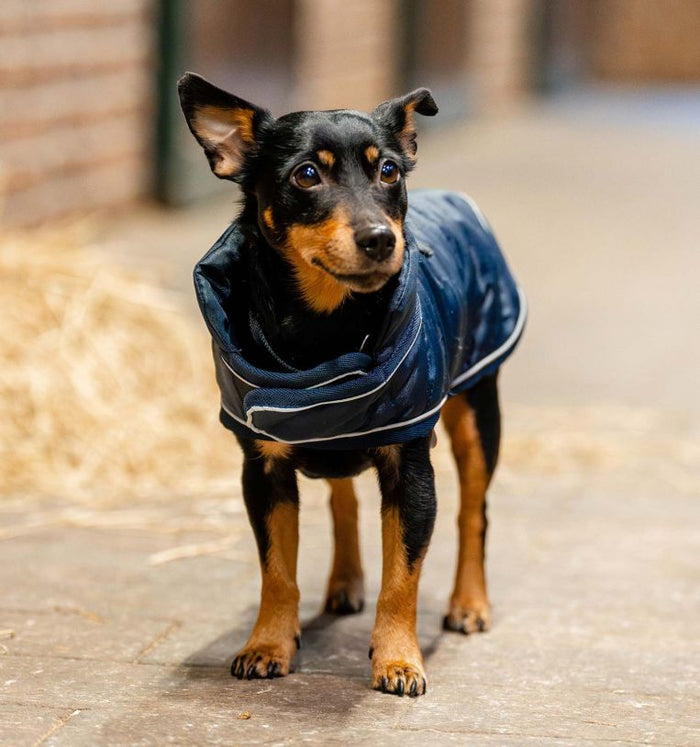 Horseware Signature Padded Dog Rug 200g