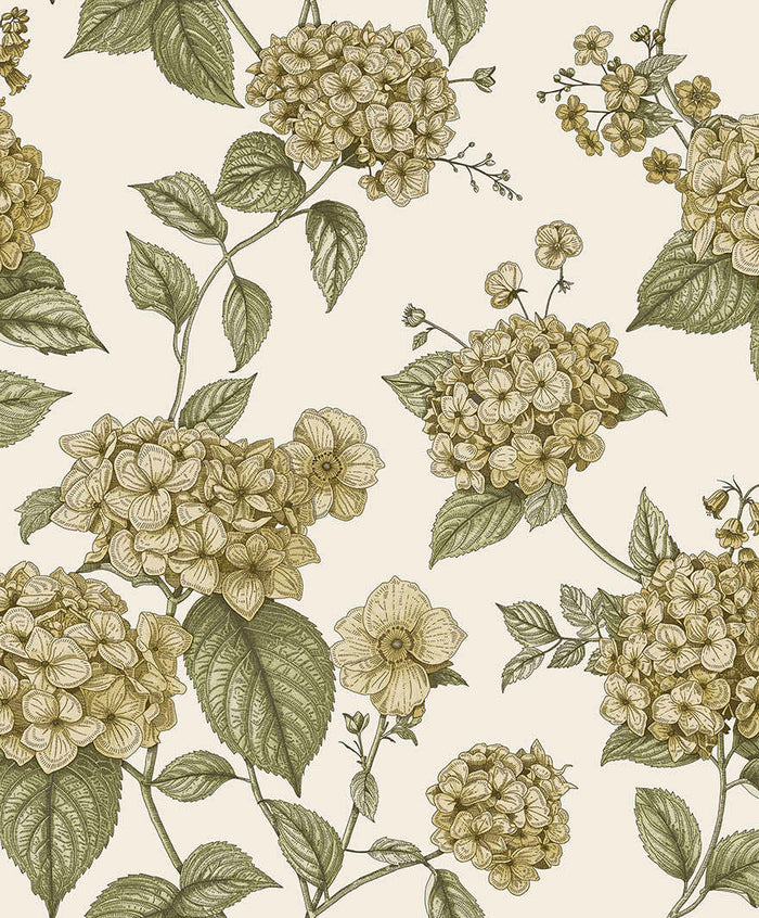 Hortensia – Hydrangea Wallpaper – Ochre/Green