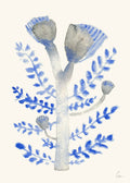 Januari by Clara Schicketanz