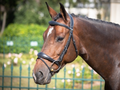 Jump'In One Collection Brussels Bridle with Reins