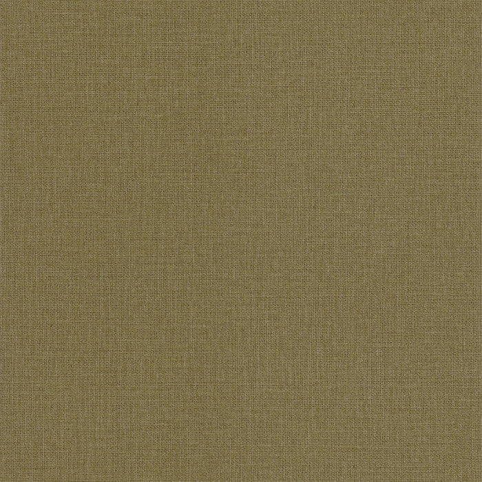 Kaki