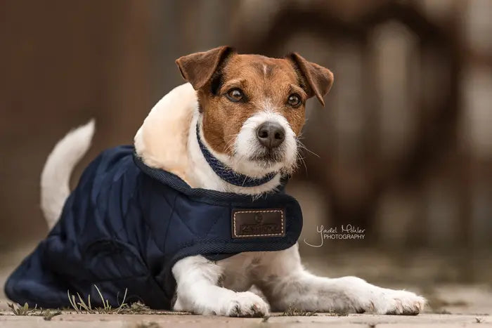 Kentucky Horsewear Dog Coat Original