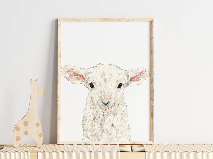 Lamb Art Print