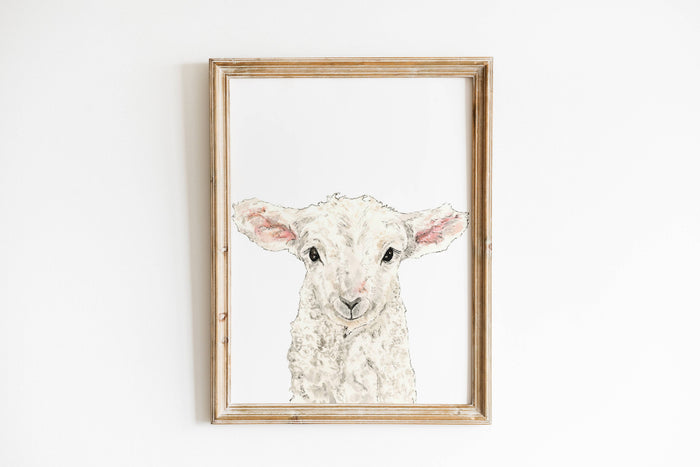 Lamb Art Print