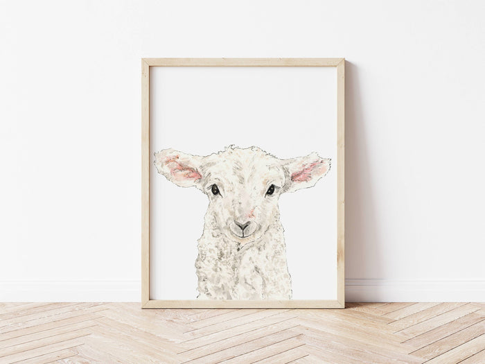 Lamb Art Print