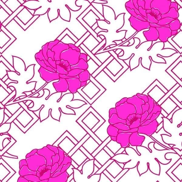 Fuschia