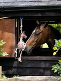 LeMieux Giraffe Horse Toy