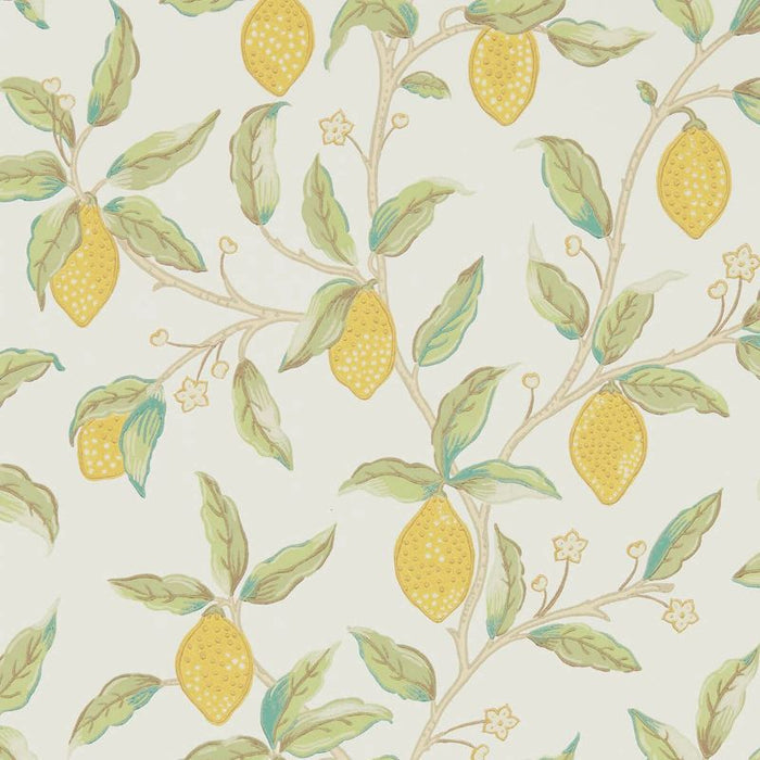 Lemon Tree by Morris Wallpaper - Bay Leaf