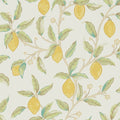 Lemon Tree by Morris Wallpaper - Bay Leaf