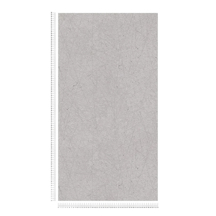Linear Web - Geometric Wallpaper - Grey
