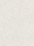 Linear Web - Geometric Wallpaper - White