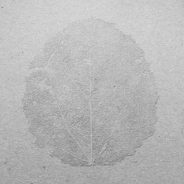 Murmer - Songs For Forgetting LP