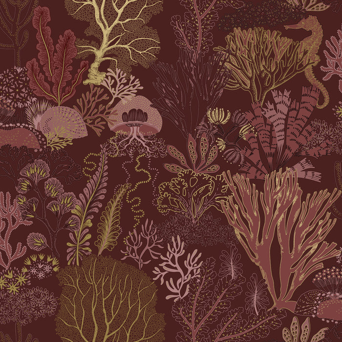 Nautilus – Coral & Kelp Wallpaper – Berry