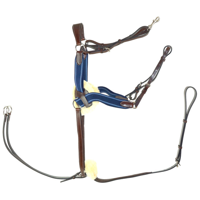 Nunn Finer 5-Way Blue Breastplate