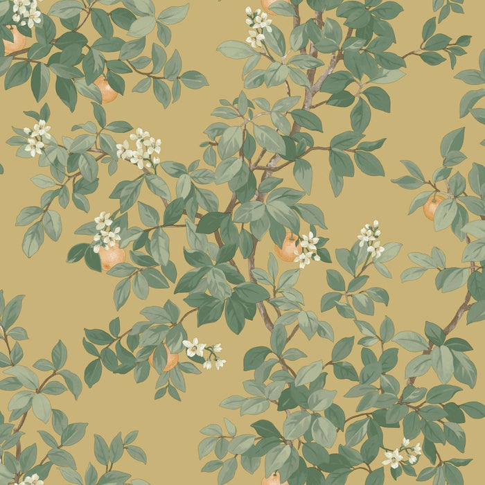Orange Tree – Citrus Blossom Wallpaper – Ochre