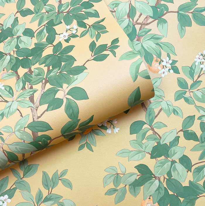 Orange Tree – Citrus Blossom Wallpaper – Ochre
