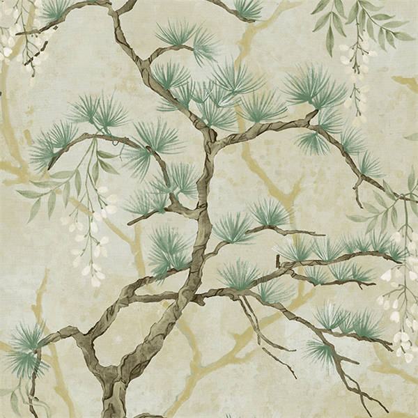 Pine Shadow Wisteria Wallpaper - Grey