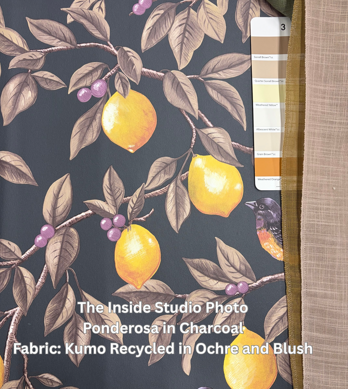 Ponderosa – Bird and Lemon Wallpaper – Charcoal