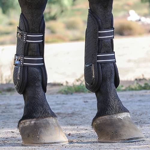 Professionals Choice Mesh TPU Show Jump Front Boots