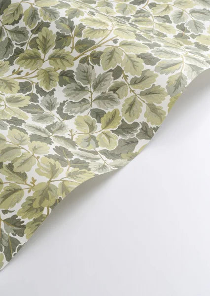 Regent's Park Wallpaper - Amande