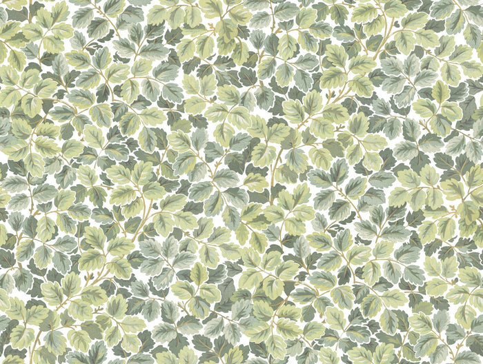 Regent's Park Wallpaper - Amande