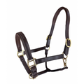 Royal Highness Padded Halter with Fancy Stitch