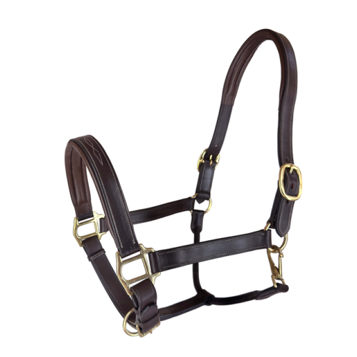 Royal Highness Padded Halter with Fancy Stitch