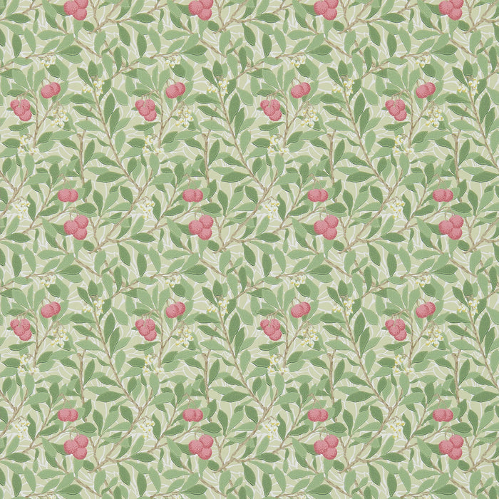 Sample - Arbutus by Morris Wallpaper - Olive/Pink