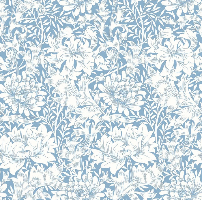 Sample - Chrysanthemum - Eden by Morris Wallpaper - Wedgewood Blue