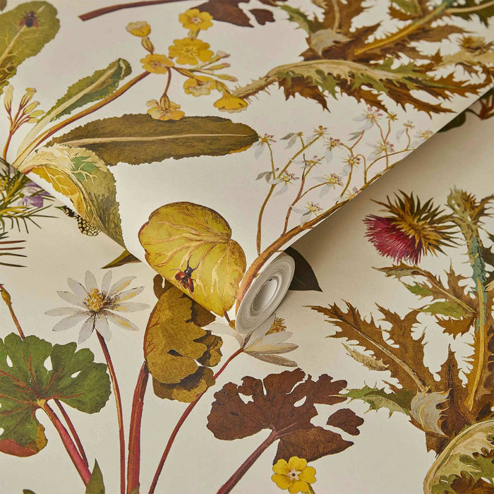 Sample - Herbarium Hybrid Mural Wallpaper - House of Hackney - Ecru