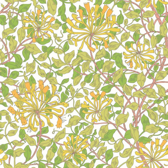 Sample - Honeysuckle Leaf Trail Wallpaper - Ohpopsi - Sunshine Yellow
