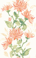 Sample - Kiku Wallpaper - Ohpopsi - Coral