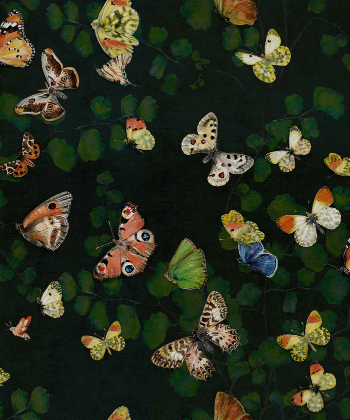 Sample - Magic Butterflies Wallpaper - Night