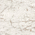 Sample - Nacho Carbonell - Cracked Plaster Wallpaper - White