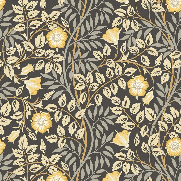 Sample - Rosehip Trail Wallpaper - Ohpopsi - Chalkboard
