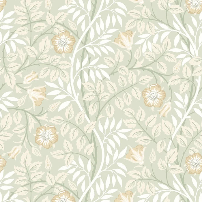 Sample - Rosehip Trail Wallpaper - Ohpopsi - Sage Green