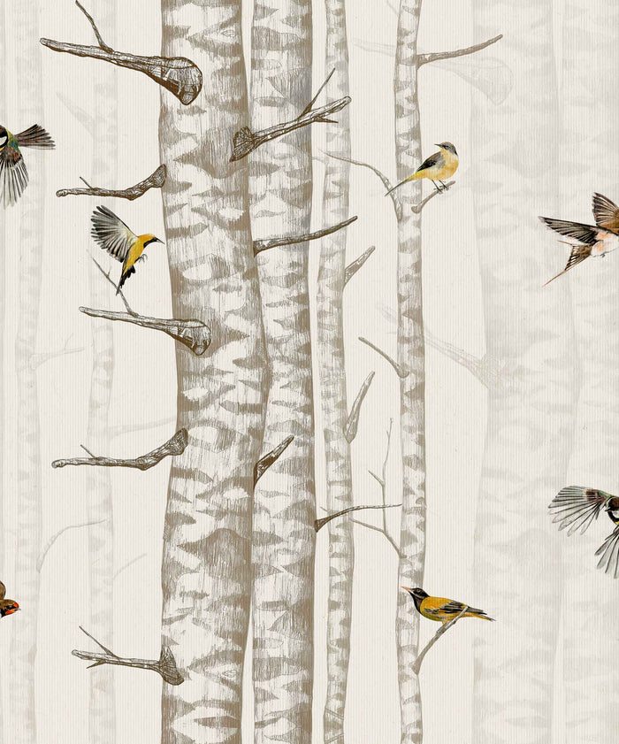 Sample – Birch Trees Wallpaper – Beige