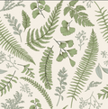 Sample – Fern Wallpaper - Custom Sized Wallpaper Mural (per m2)