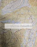 Sample – New Zealand LINZ - Custom Sized Wallpaper Mural (per m2)
