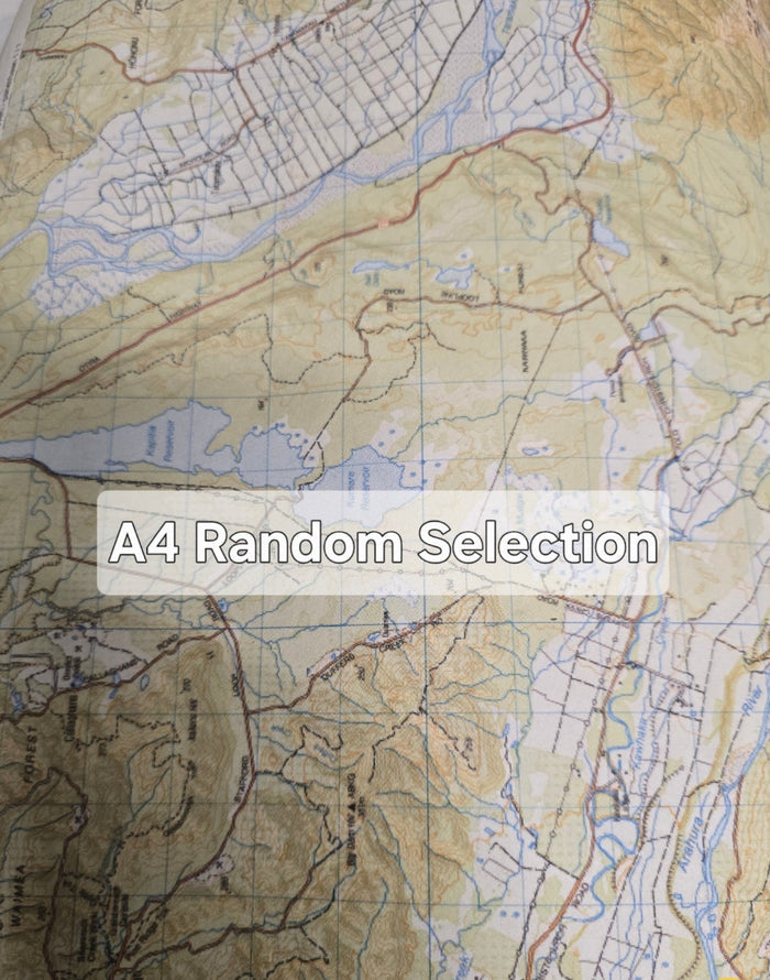 Sample – New Zealand LINZ - Custom Sized Wallpaper Mural (per m2)
