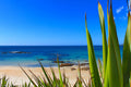 Sample – NZ Scenery - Ahipara Beach - Custom Sized Wallpaper Mural (per m2)
